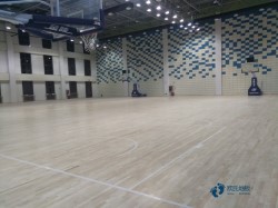定制籃球場(chǎng)木地板品牌排行榜